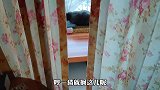 《菠小萝的操心喵生》第27集，猫窝上的牙印是谁的