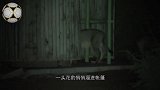男子在野外露营，熟睡中被豹子闯入帐篷，镜头记录全过程