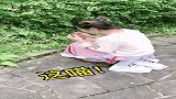小伙用大饼换喵喵的板栗，结果却这样