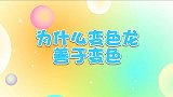 为什么变色龙善于变色 兔小贝十万个为什么