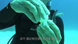 潜水者在水草下发现一个大钳子，伸手一掏，原来藏着个大家伙