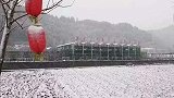 南方的冰雪世界！四川广元迎来今冬的首场降雪 积雪最厚达6厘米