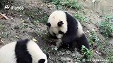 如何在姐妹面前掩饰尴尬？