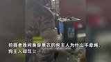 北京男子出门溜大型犬不牵绳，女子劝阻反遭怼：那我出门拴着你！