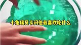 玩泥讲故事，土豆竟然吃自己的朋友胡萝卜？