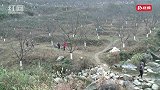 视频丨蓝山湘江大峡谷9年植绿添新景