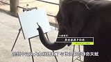 大象拿起画笔，给自己画了一幅自画像，网友：堪比毕加索！