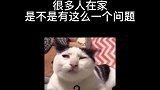 那就是青藏高原搞笑