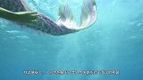 渔民出海发现“美人鱼”，引全村人欣赏，专家一眼看出真面目