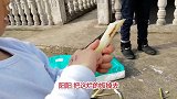 7岁的阳阳爱剥笋，被大姑考家乡话，完全都没听懂，太搞笑了！