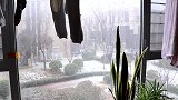 山东今天下大雪了，小孔宝在窗边吃着鸡蛋看着下雪，还是第一次见
