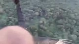 这辈子再也没有找到这棵树