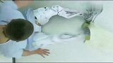 男子被改造以后，瞬间跑几千公里