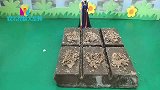 贝儿吃了白雪的棒棒糖，后果很严重，到底该怎么惩罚她呢？