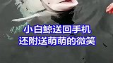 有爱的一幕, 超萌的白鲸帮游客捡回手机, 还附送呆萌的微笑