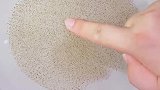 逃跑的胡椒粉