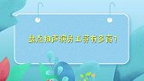 相声演员工资有多高？杨少华语出惊人，真是有人欢喜有人忧啊！