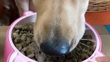 多多那口水表演的很到位