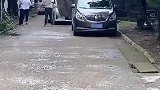 杨洋和赵露思出门，粉丝看了都惊讶了