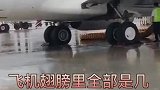 若不是镜头拍下谁信？原来飞机的油箱在翅膀上，真是开眼了！