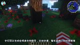 我的世界：游戏兔子VS现实兔子，兔兔原来也有这么凶狠的一幕
