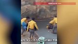 黑熊表演现场和饲养员“打架”，饲养员：这下我们出名了