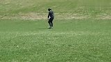 牛人将滑板改装成履带式 可在草地上轻松行驶