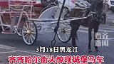 齐齐哈尔街头惊现城堡马车