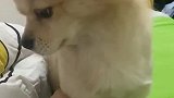 听我说谢谢你，因为有你