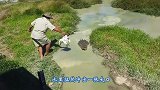 洪水退去出现庞然大物，汽车一直不敢靠前，看着有点吓人