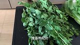 广东特色补肾靓汤，妹子学习做猪肉枸杞叶汤，简单好学，味道鲜甜