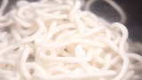 正宗日式炒乌冬，简单快捷，味道秒杀日料店！