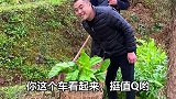 走自己的路，让别人去说吧……