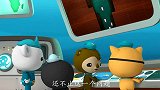 海底小纵队：大洋猪需要小纵队的帮忙