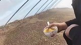 正宗进口小麦，一个字绝了