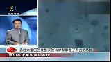 科学家揭开生命起源千古之谜