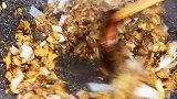 这样的鸡蛋酱，拌饭拌面蘸黄瓜蘸大葱，真的太好吃了