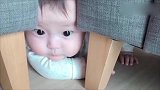 宝宝躲在凳子下面不肯出来，看到有玩具后两眼发光，小表情萌翻了