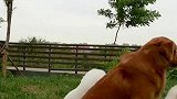 友谊的小船说翻就翻
