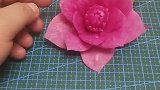 大力花，山茶花