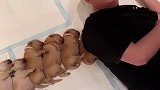 睡个觉都能被踢醒