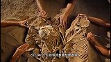 古生物领域有哪些新发现