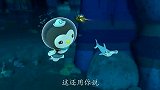 海底小纵队：小纵队一起帮助双髻鲨让他能继续游泳