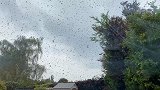 英国：一户居民房屋被大群蜜蜂包围，夫妇俩被困房中8小时