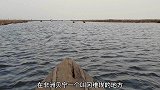 在遥远的非洲还有一群人世代生活在水面上，背后的历史充满血与泪