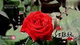 不愧是台湾第一美女！随便上个综艺都那么好看，像朵娇艳的玫瑰花