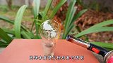 把水宝宝加热至1700℃会发生什么？老外亲测，结果意想不到