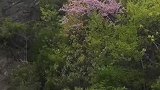 听说山洞里面有条暗河，不知道它通往哪里