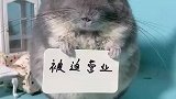 我不尴尬，尴尬的就是你们