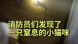 超暖心，消防员救活一只窒息的幼年喵星人